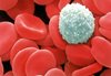 O.A. Бутакова - Программа восстановления крови при анемии.